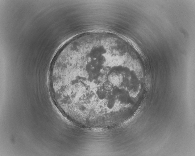 X0000114120839200911161137