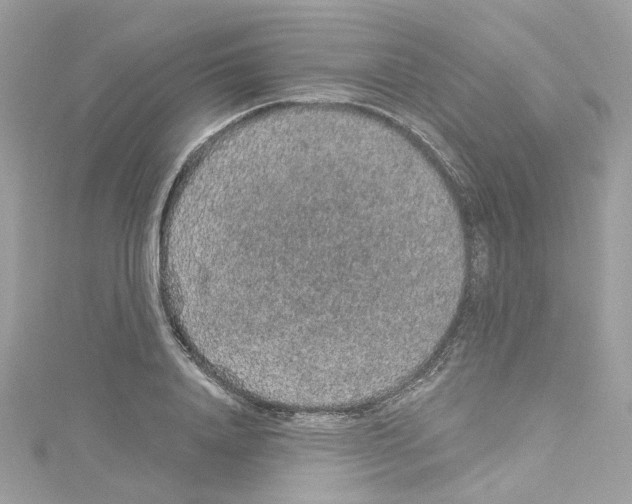 X0000114120840200911161137