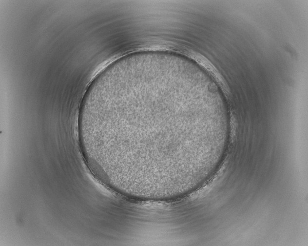 X0000114120842200911161137