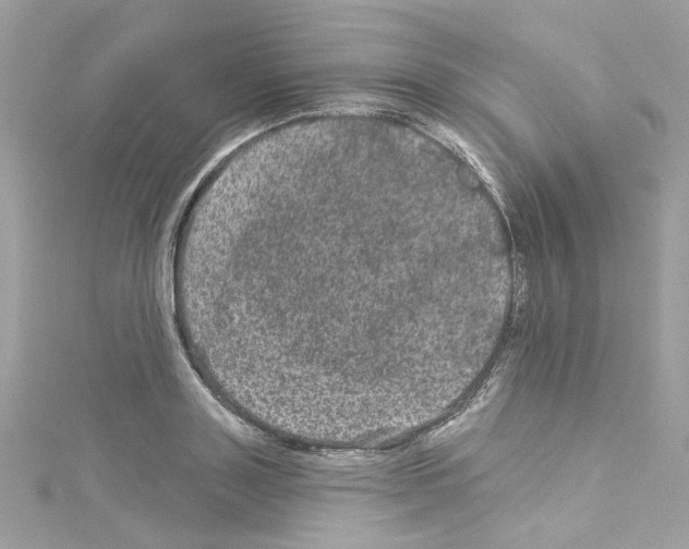 X0000114120843200911161137