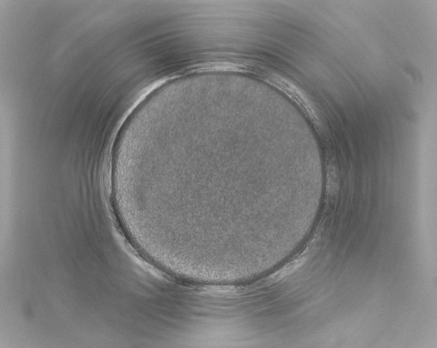 X0000114120844200911161137