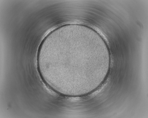 X0000114120845200911161137