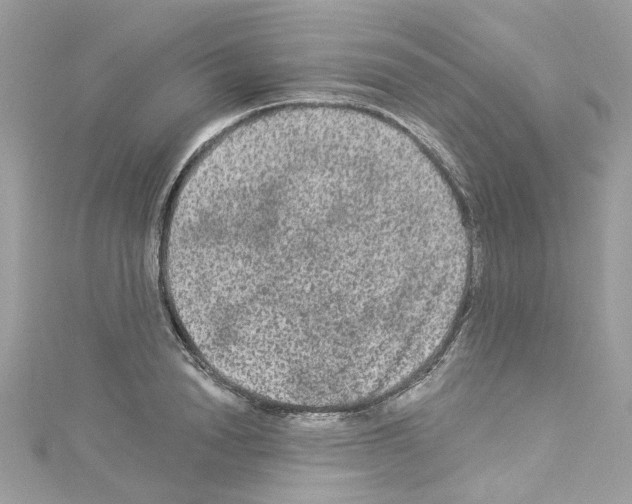 X0000114120846200911161137