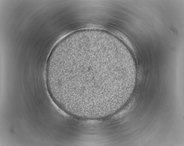 X0000114120847200911161137