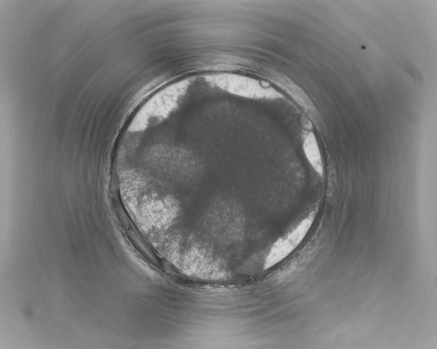 X0000114120850200911161137