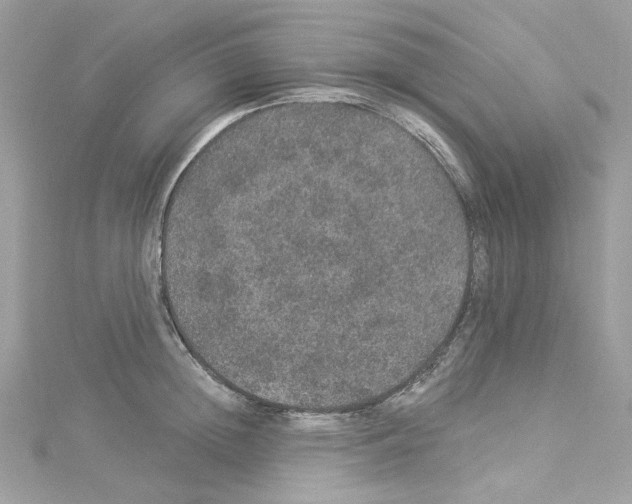 X0000114120852200911161137