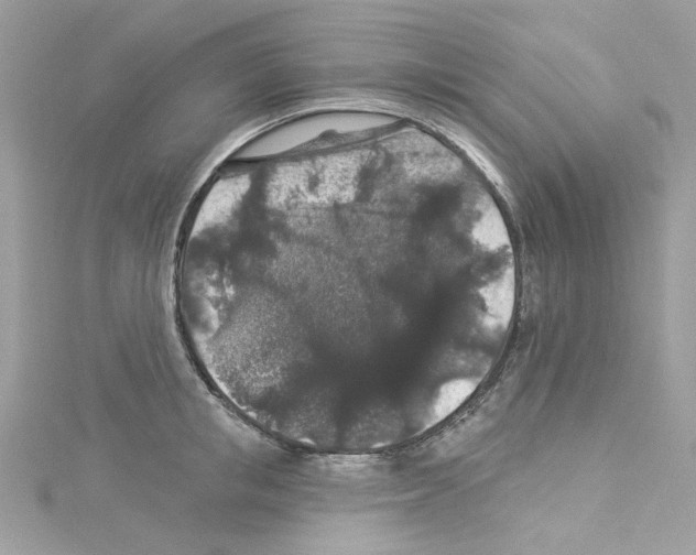 X0000114120853200911161137