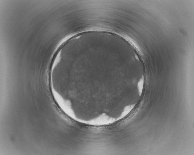 X0000114120854200911161137