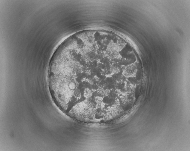 X0000114120855200911161137