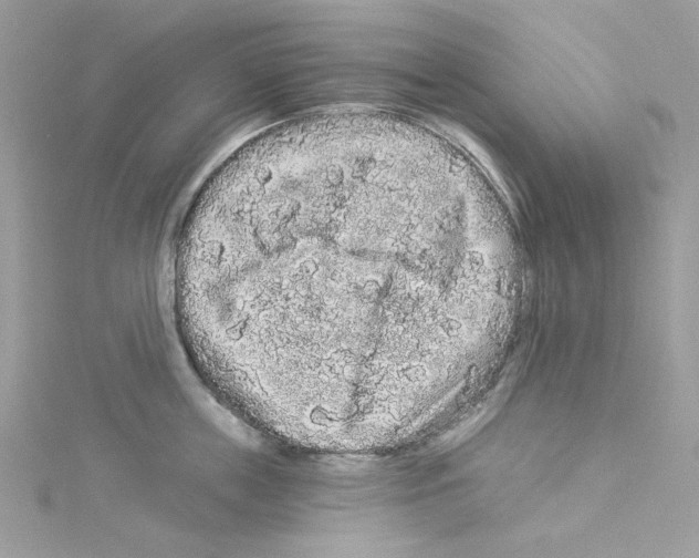 X0000114120859200911161137