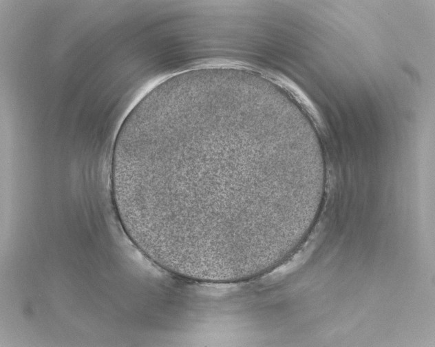 X0000114120860200911161137