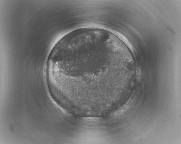 X0000114120863200911161138