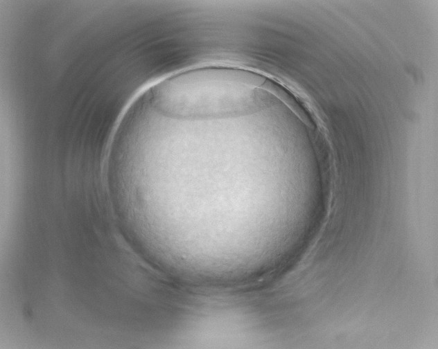 X0000114120864200911161138