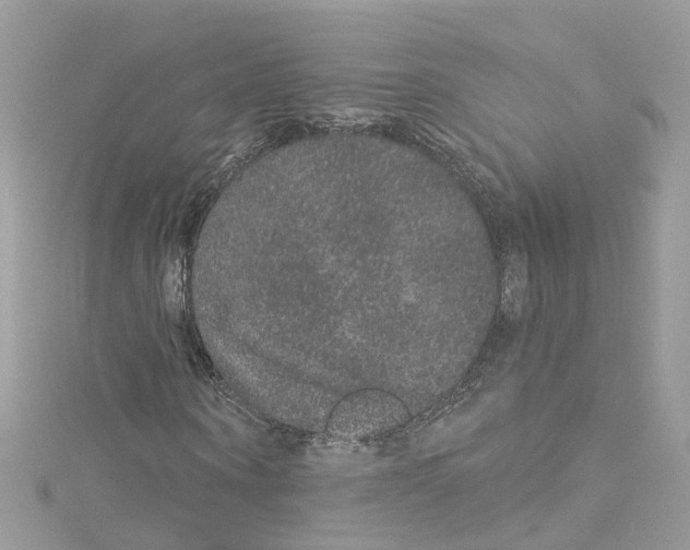 X0000114120866200911161137