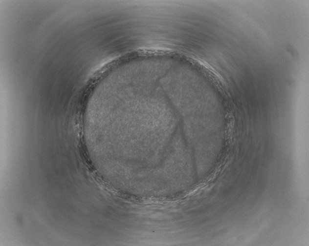 X0000114120870200911161137