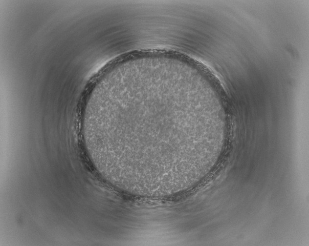 X0000114120871200911161137