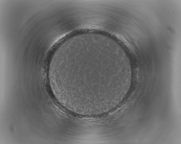 X0000114120872200911161137