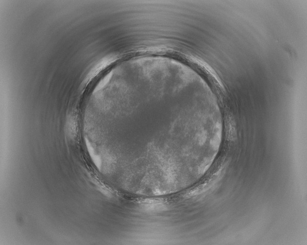 X0000114120874200911161137