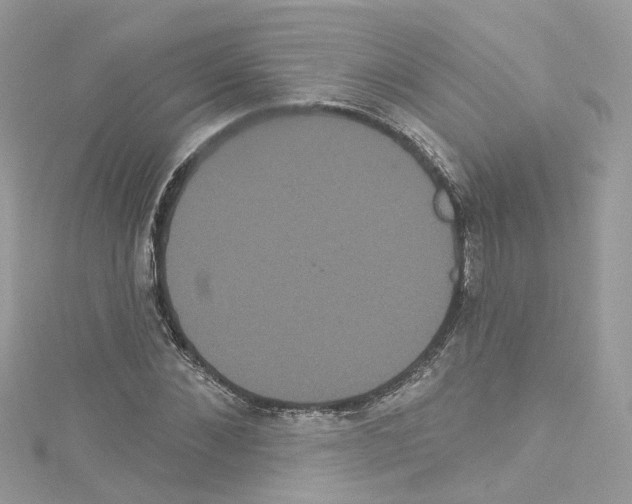 X0000114120876200911161137