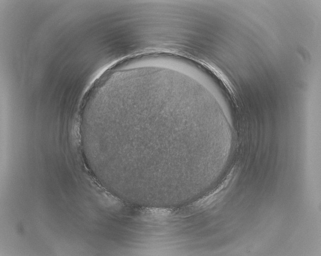 X0000114120878200911161137