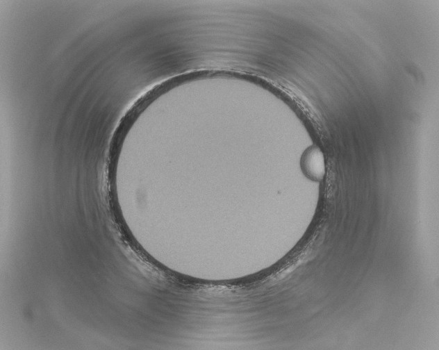 X0000114120880200911161137