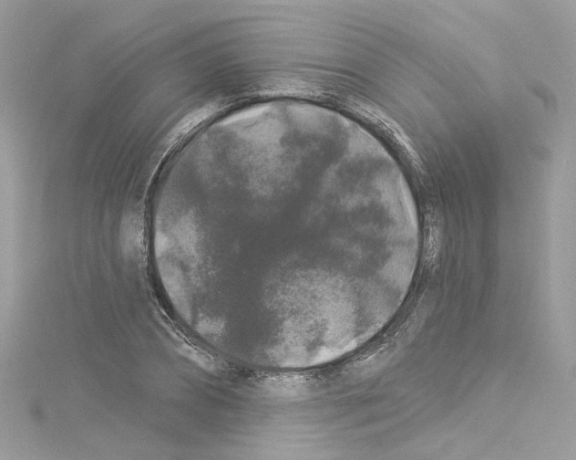 X0000114120882200911161137