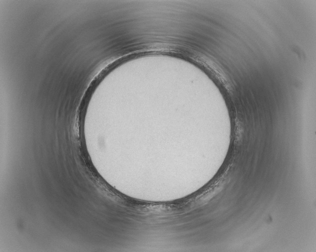 X0000114120883200911161137