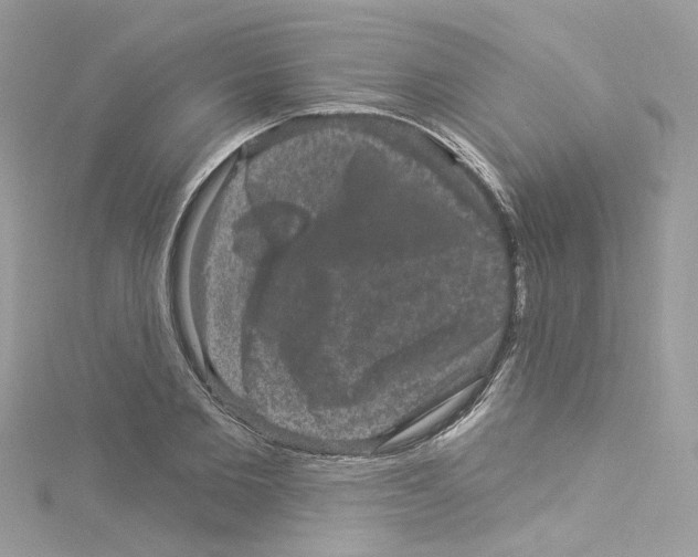 X0000114120885200911161137