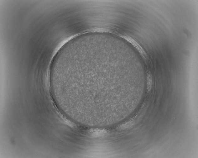 X0000114120886200911161137