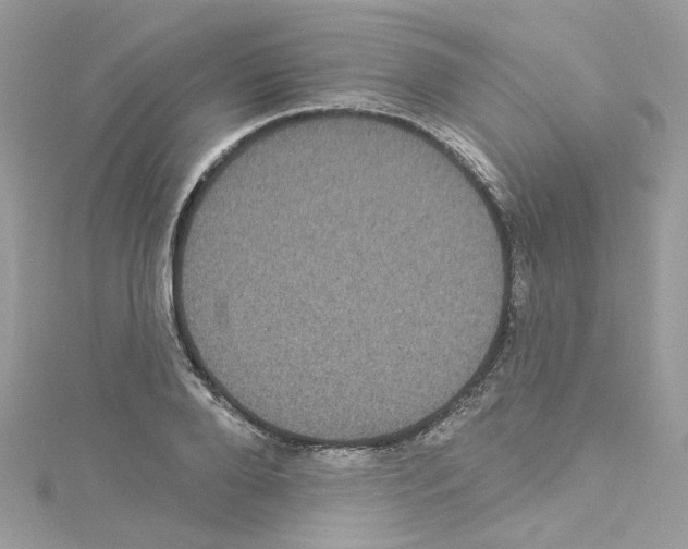 X0000114120888200911161137