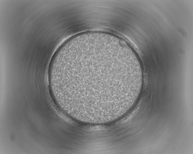 X0000114120891200911161137