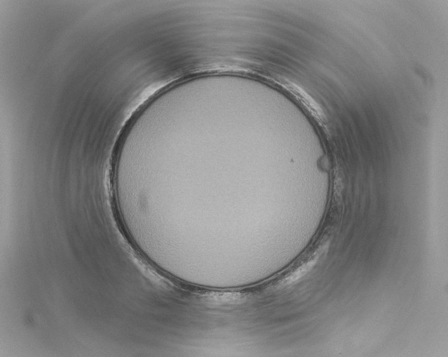 X0000114120893200911161137