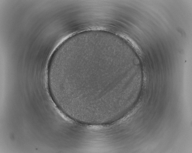 X0000114120894200911161137