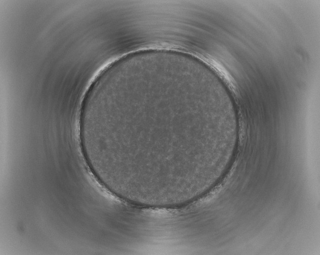 X0000114120896200911161137