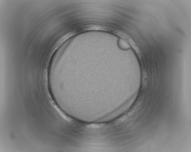 X0000114120898200911161136