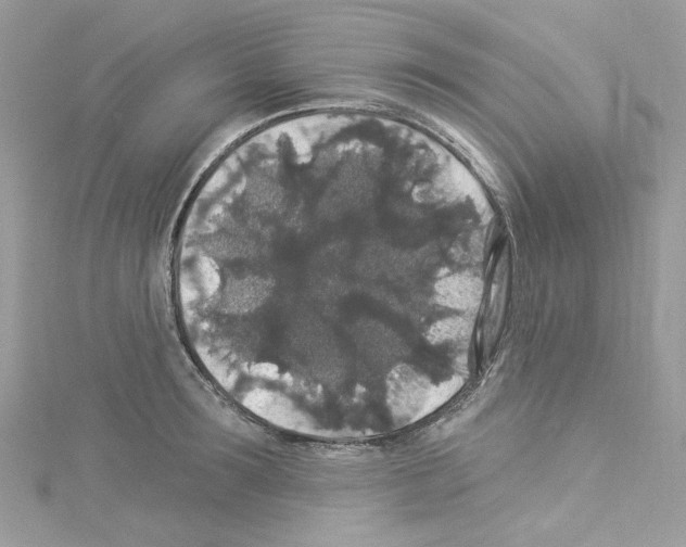 X0000114120899200911161136