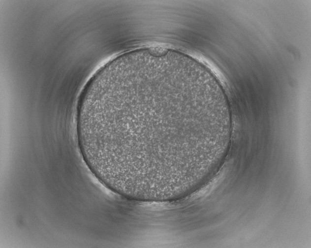 X0000114120902200911161136