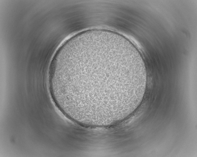 X0000114120903200911161136