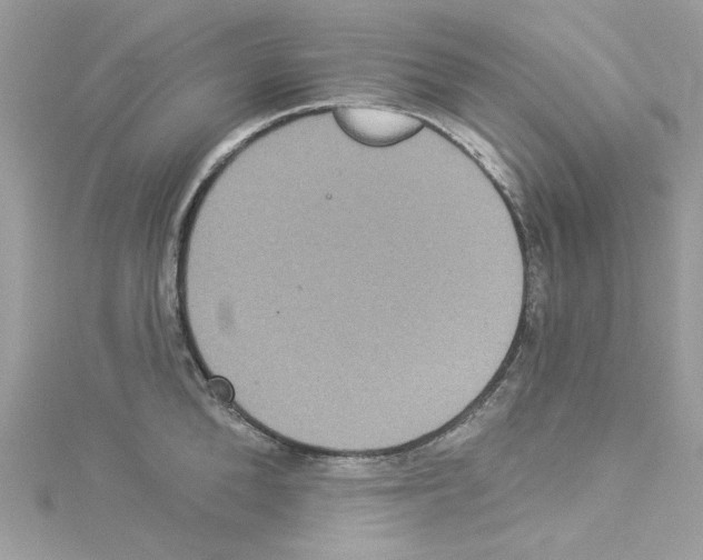 X0000114120904200911161136