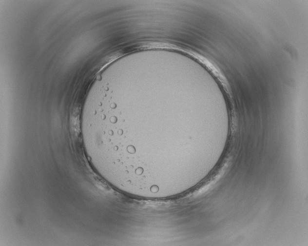 X0000114120905200911161136