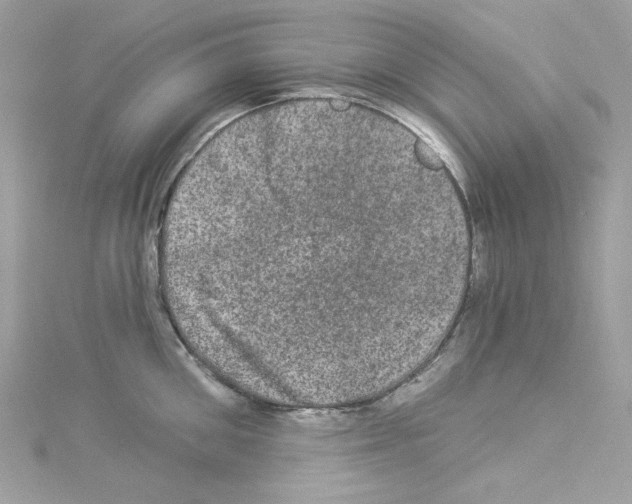 X0000114120906200911161136