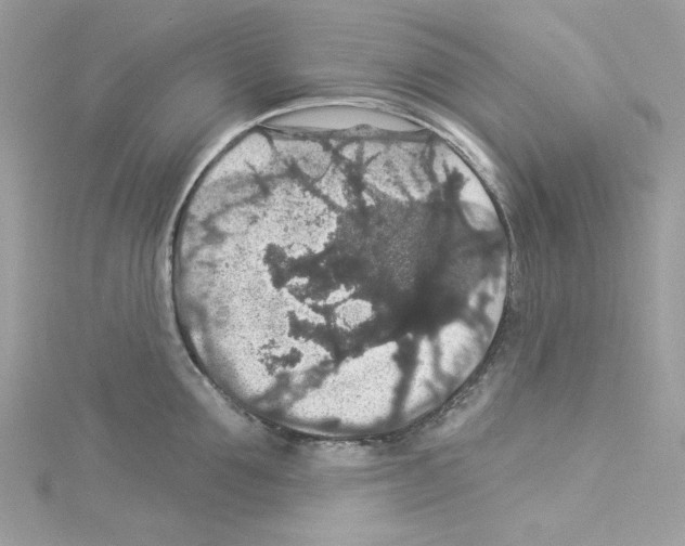 X0000114120907200911161136