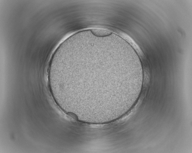 X0000114120908200911161136