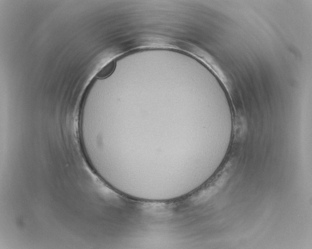 X0000114120909200911161136