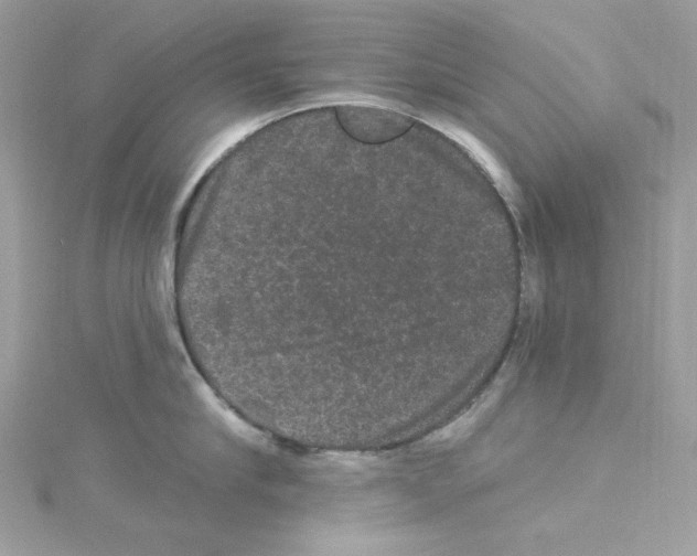 X0000114120910200911161136