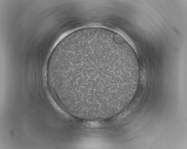 X0000114120911200911161136