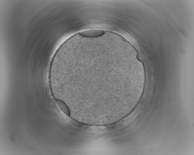 X0000114120912200911161136