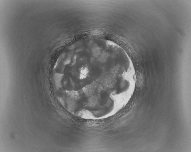 X0000114120913200911161136