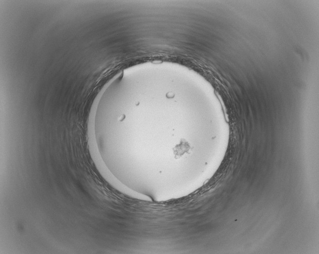 X0000114120916200911161136