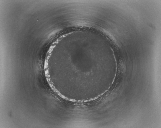 X0000114120918200911161136